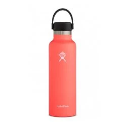 Hydration Hydro Flask 21 Oz Standard Mouth
