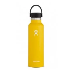 Hydration Hydro Flask 21 Oz Standard Mouth
