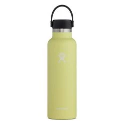 Hydration Hydro Flask 21 Oz Standard Mouth