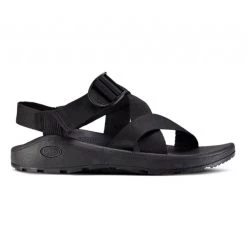 Chaco Men's Mega Z Cloud Men's Apparel