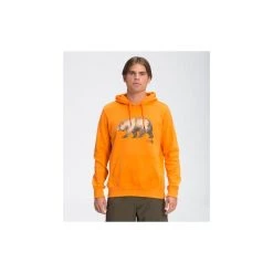 The North Face Men's Apparel Men's TNF Bear Pullover Hoodie