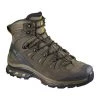Salomon Quest 4D 3 Gtx Footwear