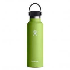 Hydration Hydro Flask 21 Oz Standard Mouth
