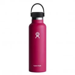 Hydration Hydro Flask 21 Oz Standard Mouth