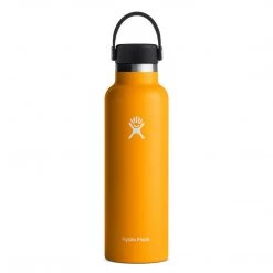 Hydration Hydro Flask 21 Oz Standard Mouth